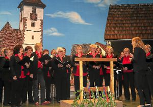 Der Kirchenchor Rotfelden bot einen facettenreichen Auftritt. Foto: Priestersbach Foto: Schwarzwälder-Bote