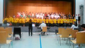 Die Nagolder Grundschüler gaben zusammen mit den Gymnasiasten ein Konzert. Foto: OHG Foto: Schwarzwälder-Bote