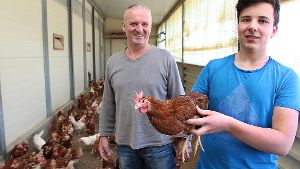 Vogelgrippe sorgt für Eier-Engpass