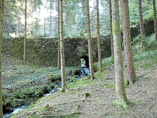 Als erhaltenswert eingestuft wurde die Lang’ Rinden-Riese im Holzwald bei Bad Rippoldsau mit der Teufels-Riese an einem ehemaligen Floßweiher.  Foto: Baur