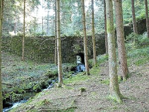 Als erhaltenswert eingestuft wurde die Lang’ Rinden-Riese im Holzwald bei Bad Rippoldsau mit der Teufels-Riese an einem ehemaligen Floßweiher.  Foto: Baur