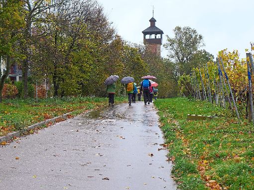 Regen- und sturmfeste Kleidung war bei der Besenwanderung des Schwarzwaldvereins angesagt. Foto: Schwarzwälder-Bote