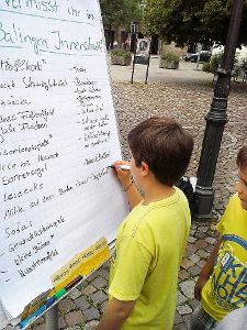 Zahlreiche Wünsche für den Hinteren Kirchplatz und die Innenstad haben die Balinger Streetworker gesammelt. Foto: Privat Foto: Schwarzwälder-Bote