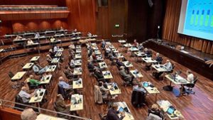 SPD fordert Live-Übertragung – Verwaltung sieht Hindernisse