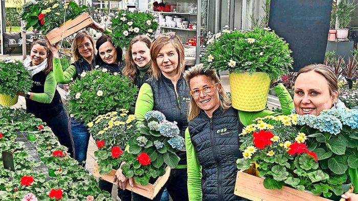 Bei Blumen Krigar in Albstadt-Ebingen erfahren Kunden, wie die Blütenpracht erhalten bleibt