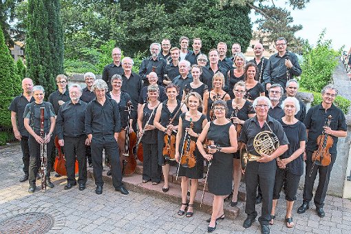 Das Kammerorchester Ettenheim spielt Schubert und Mendelssohn.  Foto: Promo Foto: Schwarzwälder-Bote