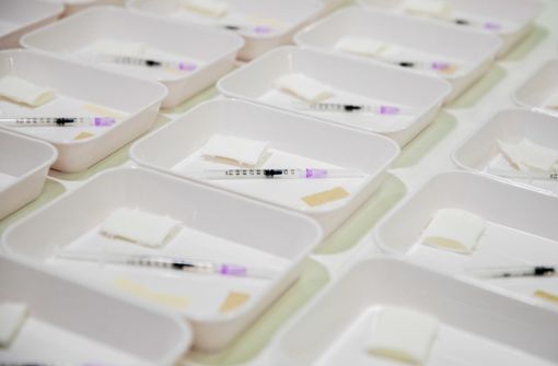 In den Impfzentren ist der Impfstoff bald keine Mangelware  mehr. (Symbolbild) Foto: dpa/Christoph Soeder