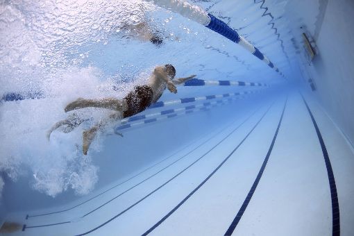 Auch die Schwimmer blicken auf erfolgreiche Wettkämpfe zurück. Foto: pixabay Foto: Schwarzwälder-Bote