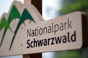 Der von der CDU angedachte Bürgernationalpark soll kleiner als der jetzige Nationalpark Schwarzwald sein, dafür aus einer zusammenhängenden Fläche bestehen. Foto: Seeger