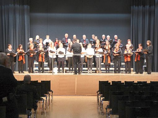 Der Liederkranz Schwenningen tritt beim Konzert in Merzhausen auf. Foto: Liederkranz Foto: Schwarzwälder-Bote