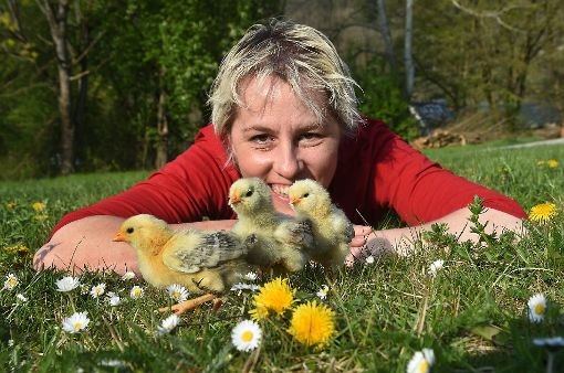 Das wird ein Osterfest für die ganze Familie: Silke Wüstholz, Vorsitzende des Kleintierzuchtvereins, lädt Montag ein zum Kükenschlupf. Foto: Hopp Foto: Schwarzwälder-Bote