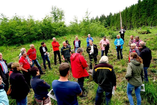 Die Mitglieder des Winterlinger Gemeinderats besuchten den Wald und ließen sich von den Experten die Situation vor Ort erläutern. Foto: Retter Foto: Schwarzwälder-Bote