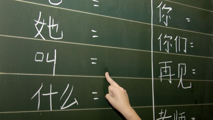 Tübinger Forscher raten zu Chinesischunterricht an Schulen