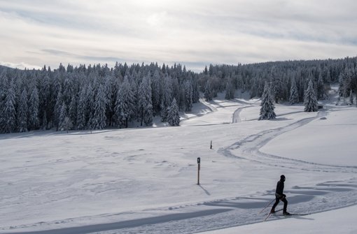 Der Schwarzwald ist auch bei Wintersportlern sehr beliebt Foto: dpa