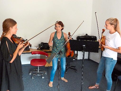 Hochkarätige  Musikpädagogen feilen mit den Eleven der Musikschule  an deren Technik.  Foto: Kosowska-Németh Foto: Schwarzwälder-Bote