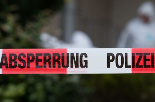 Die Bombe ist in der Nähe eines Sportplatzes in Karlsruhe entdeckt worden. (Symbolbild) Foto: picture alliance / Friso Gentsch/Friso Gentsch