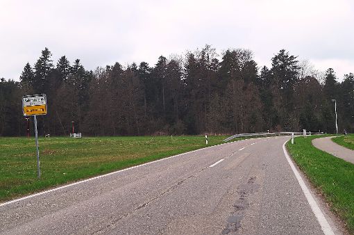 Am Ortsausgang von Schwarzenberg wird häufig zu schnell gefahren. Foto: Krokauer Foto: Schwarzwälder-Bote
