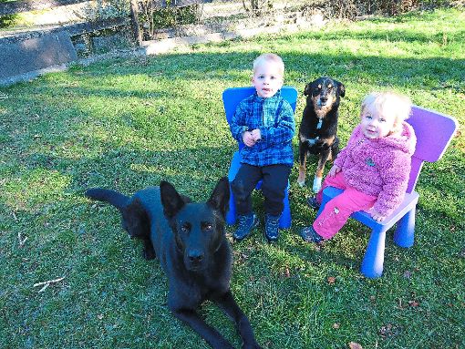 Sie freuen sich schon auf den Kindertag am 1. April beim Verein für deutsche Schäferhunde: Simon Lahr, seine Schwester Carolina und die Hunde Mikey und Nicky.  Foto: Verein Foto: Schwarzwälder-Bote