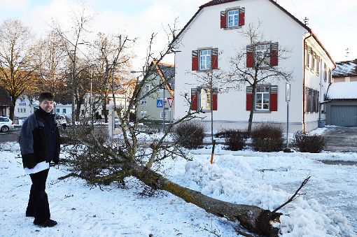 Der Baum vor dem Rathaus – im Bild mit Ortsvorsteher Thomas Deufel – war bereits krank, jetzt tat der Wind sein Übriges. Foto: Lissy Foto: Schwarzwälder-Bote