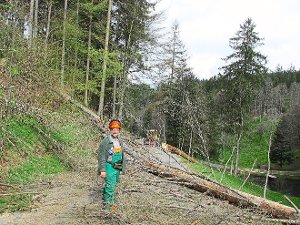 Drei Tage lang   war die Obertalstraße aufgrund von Baumfällarbeiten von Helmut Finkbeiner gesperrt. Foto: Volk Foto: Schwarzwälder-Bote
