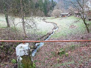 Im Förteltal befinden sich  Trinkwasserquellen für Höfen und Birkenfeld.   Foto: Kugel
