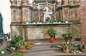 In Ettenheim wurden am Wochenende für Mariä Himmelfahrt Kräuter geweiht. Sie zu finden, wird immer schwieriger. Foto: Birkle