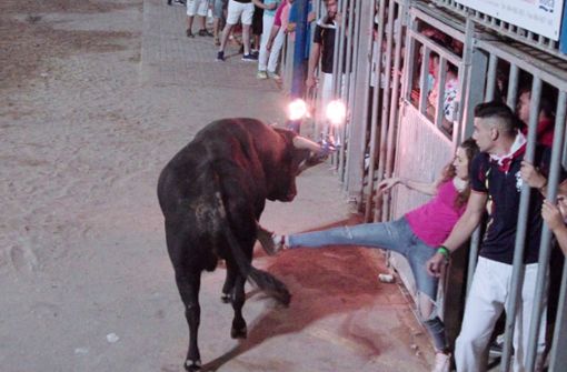 Die Zuschauer  wollen ihren Mut beweisen, indem sie den Stier provozieren, hier  in  Vall d’Uixó bei Valencia. Foto: La Tortura no es cultura  /(LTNEC)
