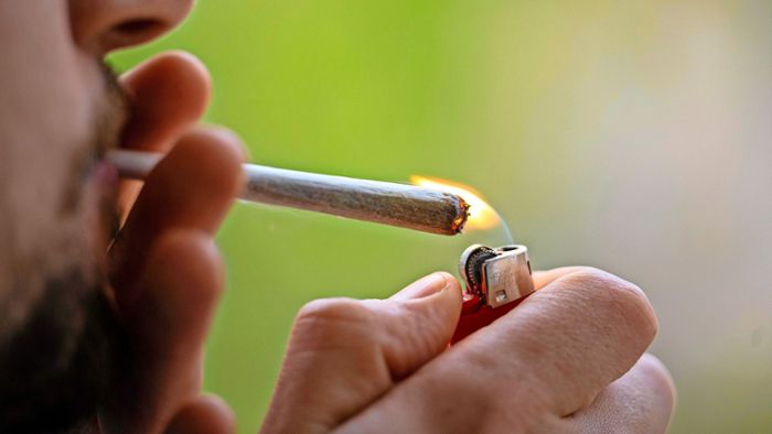 Droge mit zwei Seiten: Warum Cannabis gefährlich ist – und trotzdem beliebt