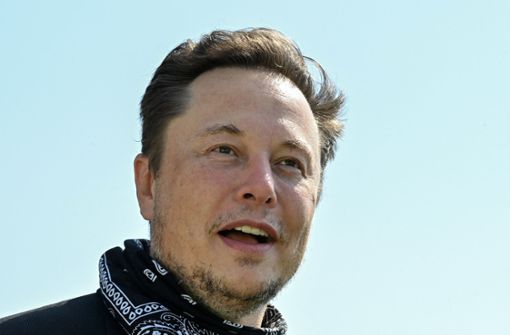 Elon Musk hat sich im Dracula-Schloss angekündigt. Foto: dpa/Patrick Pleul