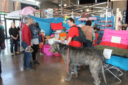 Großes Interesse: Zahlreiche Besucher informieren sich im Beisein ihrer Vierbeiner bei der Messe Mein Hund.    Foto: Müller