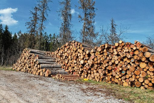 Im Reiselfinger Gemeindewald konnten 2015 lediglich 68 Prozent des geplanten Holzeinschlags realisiert werden. Trockenheit und Sturm sind dafür verantwortlich. Foto: Bächle Foto: Schwarzwälder-Bote