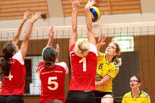 Weiter ungeschlagen sind die Volleyballer­innen des TSV Frommern in der A-Klasse West. Foto: Single Foto: Schwarzwälder-Bote