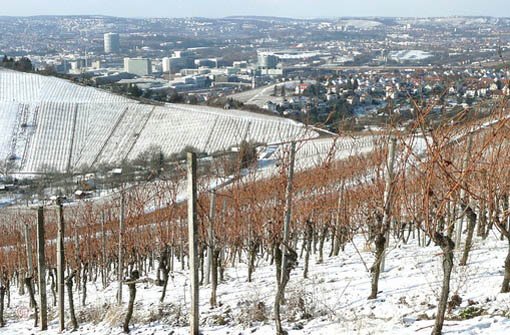 Idylle in den Stuttgarter Weinbergen - der Winter zeigt sich von seiner schönsten Seite. Foto: Leerfotograf chrisho