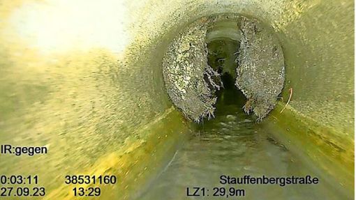 Wurzelwerk hindert das Wasser am abfließen. Foto: Stadt Balingen/ITR