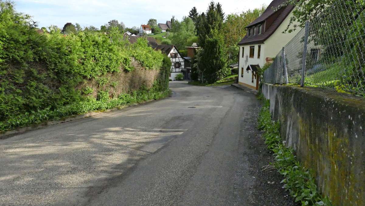 Gemeinderat: Neues Sanierungsgebiet in Dornhan geplant