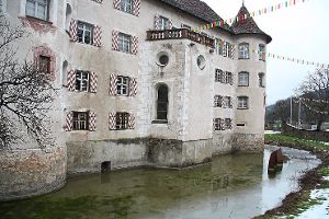 Der Stand des Wassergrabens rund ums Schloss sehr niedrig. Foto: Huß Foto: Schwarzwälder-Bote