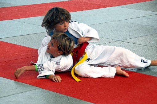 Bei der Judo-Safari in Horb erkämpften sich die Jungen und Mädchen ihre Leistungsabzeichen. Foto: Eggert Foto: Schwarzwälder-Bote