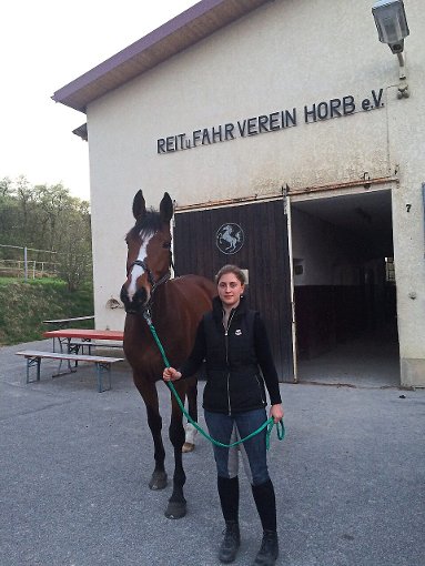 Melanie Hank freut sich über  die irische Stute  Sveni, die als neues Schulpferd beim Reit- und Fahrverein in Horb im Einsatz sein wird. Foto: Schwarzwälder-Bote