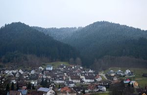 Für den Gemeindewald Schenkenzell steht ab dem nächsten Jahr eine neue Forsteinrichtungsperiode an, die dann wieder zehn Jahre gilt. Foto: Herzog Foto: Schwarzwälder-Bote