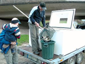 Mit dem Kescher werden die Fische in den Eimer verfrachtet und anschließend im Neckar ausgesetzt. Foto: Fischereiverein Foto: Schwarzwälder-Bote