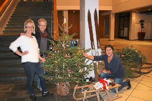 Silvia Hettich, Monika Kuner und Hanni Ketterer (von links) zwischen einigen Beispielen, was alles als Weihnachtsschmuck für die neue Aktion in Schonach in der Adventszeit in Frage kommen kann. Foto: Eberl Foto: Schwarzwälder-Bote