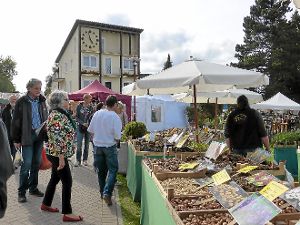Produkte aus der Region gibt es beim Naturpark-Bauernmarkt auf dem Dobel in Hülle und Fülle. Foto: Archiv Foto: Schwarzwälder-Bote