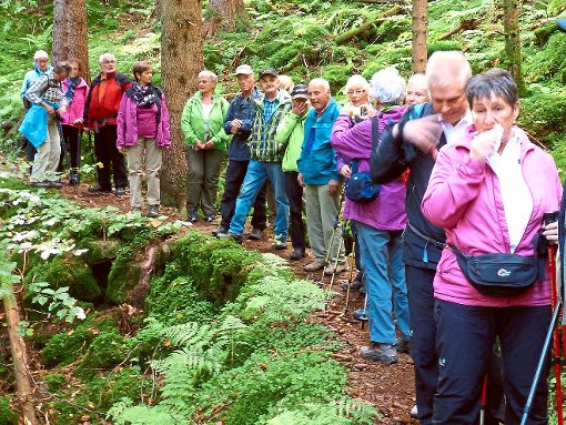 36 Wanderer aus zwei Ortsgruppen erkundeten das Bärlochkar. Foto: Schwarzwaldverein Foto: Schwarzwälder-Bote