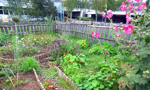 Die Grunschule KÖniugsfeld ermöglicht den Kindern auf vielf#ltige Weise einen Zugang zur Natur, auch mit einem eigenen Schulgarten. Archiv-Fotos: Vaas Foto: Schwarzwälder-Bote