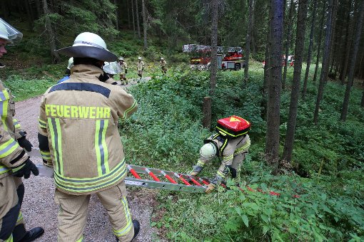 Am Montagmittag sind bei einem Unfall in der Ilgenbacher Grube bei Mitteltal zwei Waldarbeiter verletzt worden, einer davon schwer. (Symbolfoto) Foto: Marc Eich