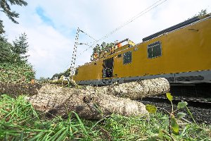 Im Abschnitt Villingen/Donaueschingen ist wegen Vegetationsarbeiten an den Gleisen ab Donnerstag mit Einschränkungen im Bahnverkehr zur rechnen. Foto: Armin Weigel