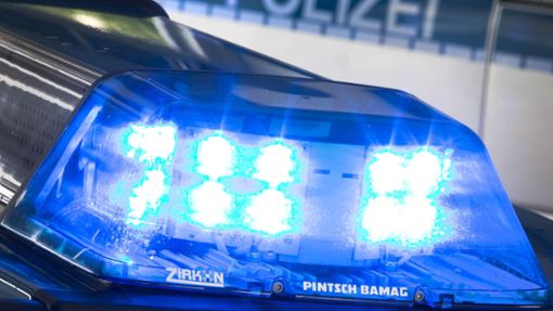 Die Polizei bitte um sachdienliche Hinweise zu den Geschehnissen zwischen Rust und Ringsheim. Foto: Friso Gentsch/dpa