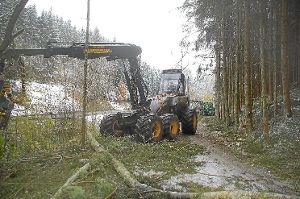 Mit schwerem Gerät wurde die L 358 von labilen und fauligen Bäumen befreit.  Foto: Stadt Wildberg