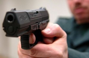Mit einem Schuss aus einer Polizeipistole endet am Montag das Leben eines Stiers in Hemmingen. Foto: dpa/Symbolbild