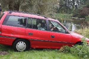 Die Dame verlor die Kontrolle über ihr Auto, fuhr durch eine Hecke hindurch und landete anschließend mit ihrem Opel in der Donau. Foto: Bartler-Team